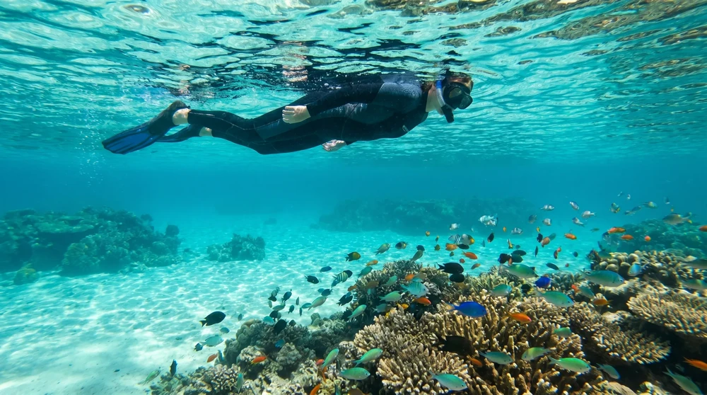 A snorkeler explores the coral reef inside the Funafuti Conservation Area during the calm dry season