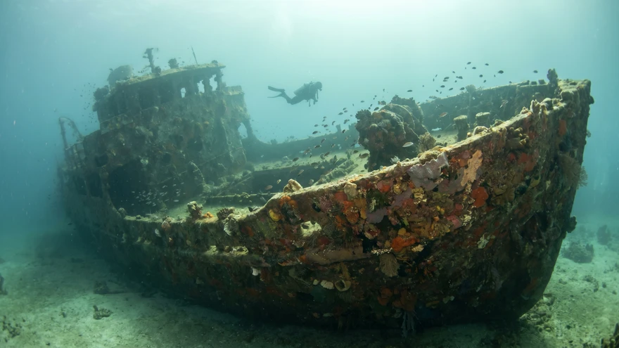 Scuba Diving in Grenada: Bianca C Wreck and Best Dive Sites