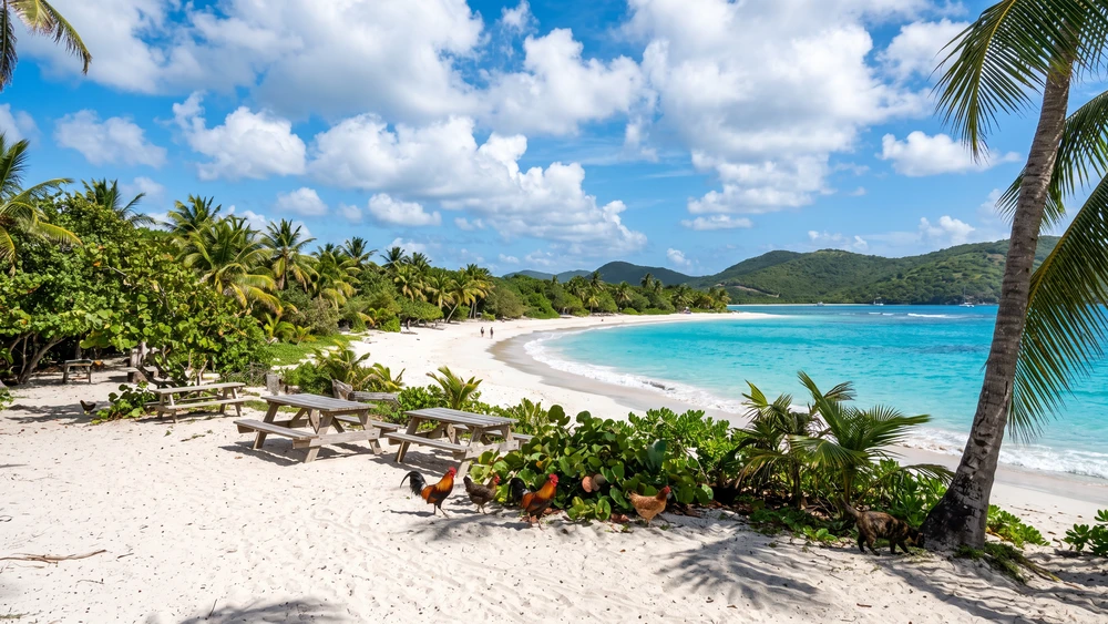 Flamenco Beach, Culebra: Ferry Logistics, Fees, and Visitor Tips